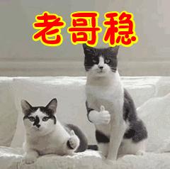 DƬ